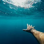 Especialistas explican por qué algunas personas sienten angustia frente al océano y cómo influye el miedo a lo desconocido. Especialistas explican por qué algunas personas sienten angustia frente al océano y cómo influye el miedo a lo desconocido.