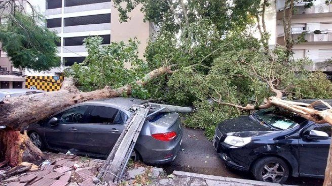 Un feroz temporal causó importantes destrozos en Mar del Plata.&nbsp;