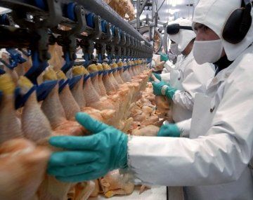 En el último año la empresa desvinculó a alrededor de 400 trabajdores entre retiros voluntarios, jubilaciones y despidos. En el último año la empresa desvinculó a alrededor de 400 trabajdores entre retiros voluntarios, jubilaciones y despidos.