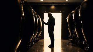 Jorge Rubio construyó en poco más de dos décadas una bodega de autor que hoy elabora 1,5 millones de litros anuales y exporta a más de doce países.