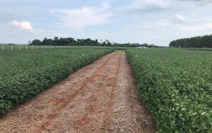 ámbito.com | campo.jpeg