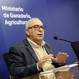 Alfredo Fratti afirmó que la eliminación del impuesto a los semovintes depende del Congreso de Intendentes. Alfredo Fratti afirmó que la eliminación del impuesto a los semovintes depende del Congreso de Intendentes.