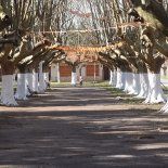 Sus plazas son ideales para recorrer caminando o en bicileta. Sus plazas son ideales para recorrer caminando o en bicileta.