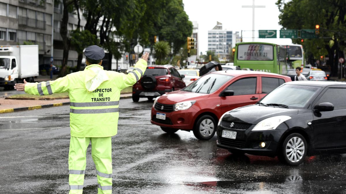 The government unified the values ​​of traffic fines throughout the country