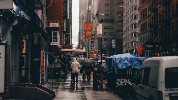 Nueva York sufre una invasión de ratones atribuible al boom de la construcción y al cambio climático.&nbsp;