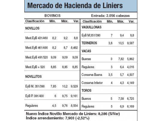 Escaso ingreso de animales a Liniers