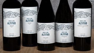 Presentan primer Pinot Noir de montaña