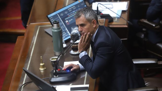 Martín Menem, presidente de la Cámara de Diputados.