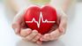 Strawberries and blueberries are two fruits that, thanks to their anti-inflammatory and antioxidant properties, help cleanse the arteries naturally, promoting blood flow and reducing the risk of arterial blockages. Strawberries and blueberries are two fruits that, thanks to their anti-inflammatory and antioxidant properties, help cleanse the arteries naturally, promoting blood flow and reducing the risk of arterial blockages.