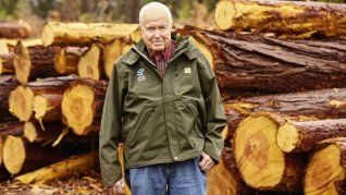 Es uno de los hombres más importantes de Estados Unidos gracias a sus prácticas algo cuestionables. Es uno de los hombres más importantes de Estados Unidos gracias a sus prácticas algo cuestionables.