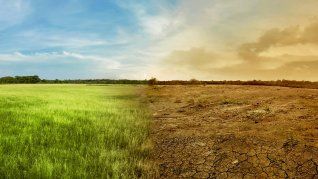 Un Proyecto de Declaración fue presentado en la Cámara de Diputados pidiendo la inclusión del crimen de ecocidio.