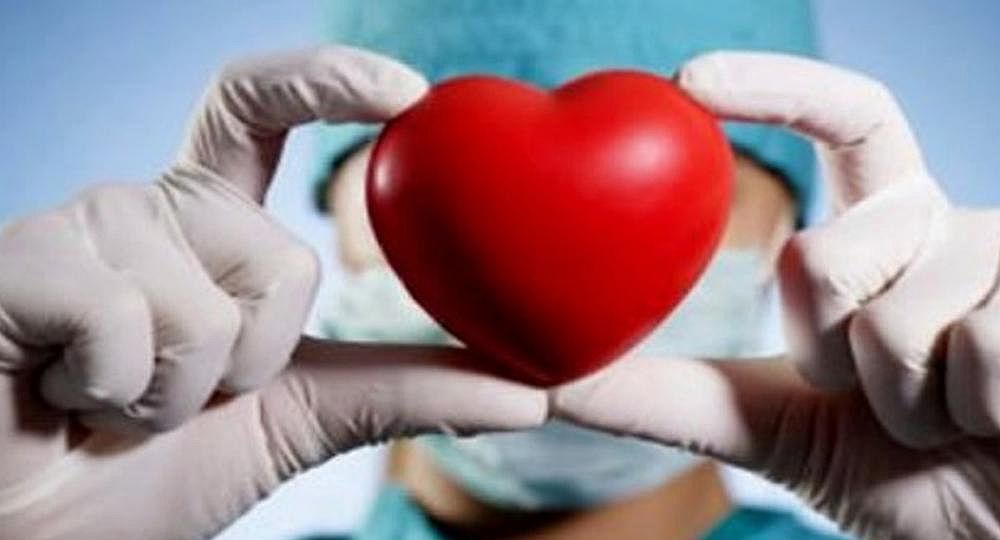 Día de la Donación de Órganos: en lo que va del año se realizaron 673 trasplantes