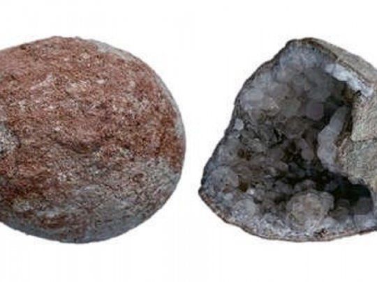 Huevos de dinoasario.&nbsp;