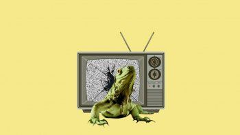 euforia de videotape: una novela sobre el mundo alucinado de los medios