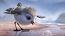 Piper, Pixar short film.
