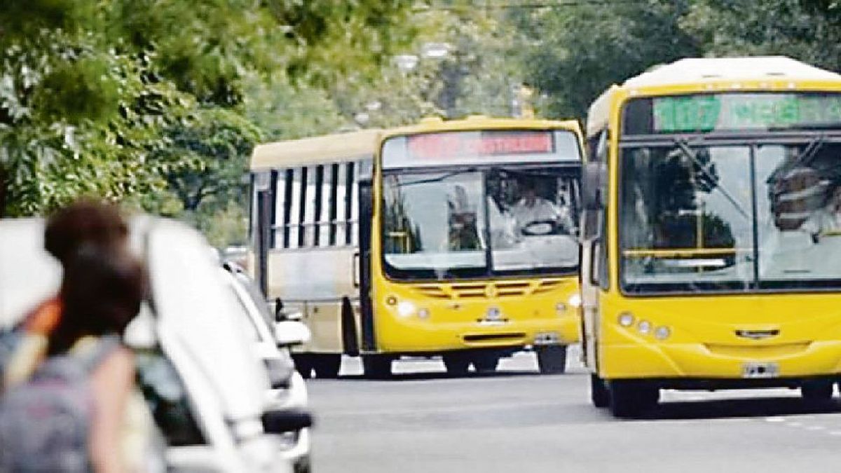 The Government increased the rates paid by operators per vehicle
