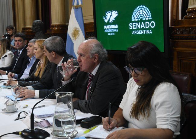 Sindicalistas respaldaron en el Senado el proyecto para pagarle al FMI con dinero fugado.