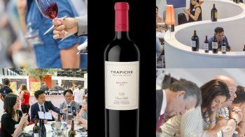 Trapiche Terroir Series Finca Coletto 2015 fue reconocido como el mejor malbec del mundo en Vinexpo