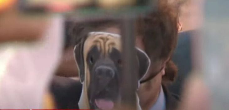 Una chica del público le regaló a Javier Milei una máscara de Conan y le pidió por la sanción de la Ley que lleva el nombre del perro del presidente. Una chica del público le regaló a Javier Milei una máscara de Conan y le pidió por la sanción de la Ley que lleva el nombre del perro del presidente.