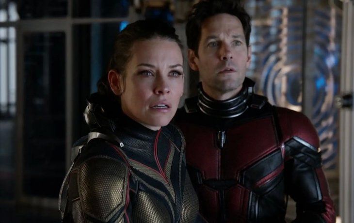 Evangeline Lilly interpretó a Hope van Dyne/Wasp en el UCM. Evangeline Lilly interpretó a Hope van Dyne/Wasp en el UCM.