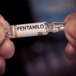 La denuncia ante la ANMAT derivó en allanamientos y detenciones. La denuncia ante la ANMAT derivó en allanamientos y detenciones.