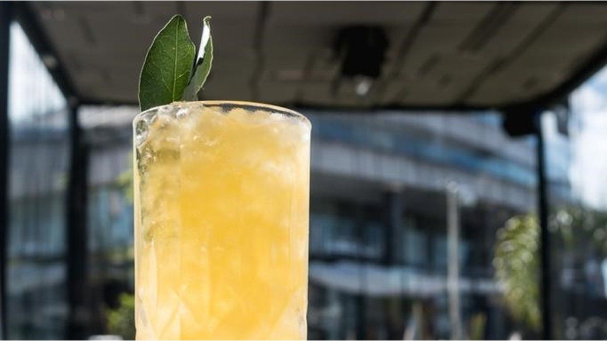 Rum Day: 12 classic and signature cocktails with the typical Caribbean distillate