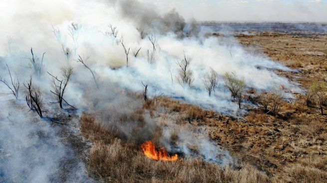 Según un relevamiento realizado por la Conae, se quemaron casi 100 mil hectáreas en las islas del Delta del Paraná.