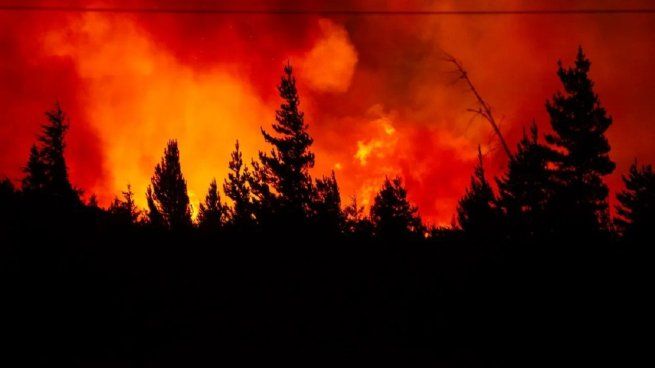 Los incendios de Chubut ya terminaron con 2.000 hectáreas de bosque.