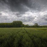 El fin de semana aparece como un punto de inflexión para la campaña agrícola, que una vez más queda bajo la influencia determinante del comportamiento del tiempo. El fin de semana aparece como un punto de inflexión para la campaña agrícola, que una vez más queda bajo la influencia determinante del comportamiento del tiempo.