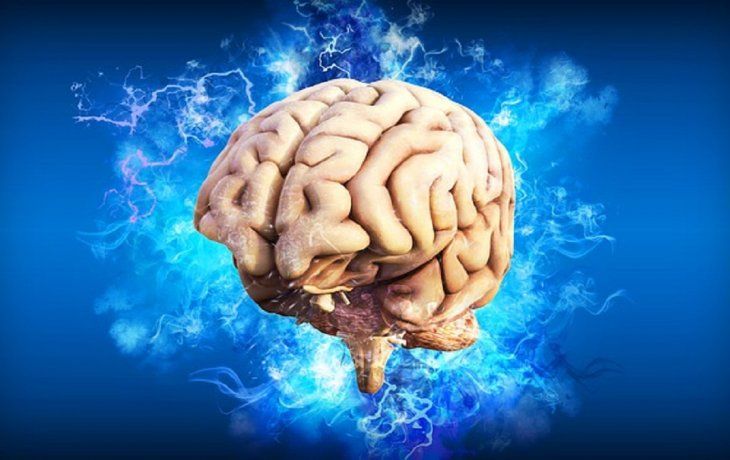 Personalidad y cerebro.&nbsp;