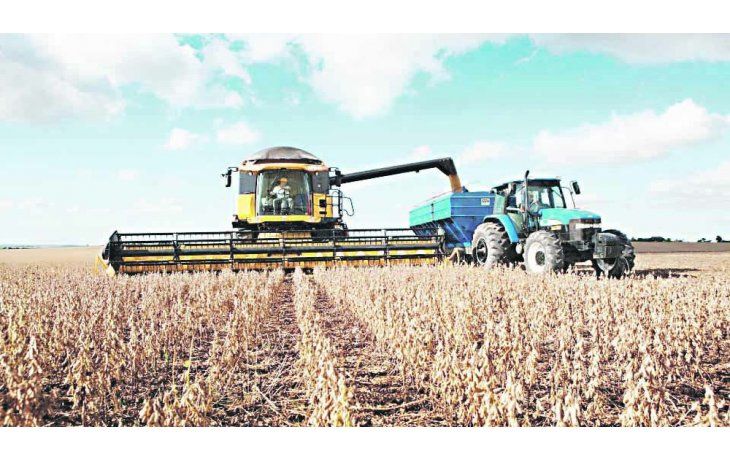 Producción argentina. El USDA anticipó que la producción de soja de la actual campaña ascenderá a 55,5 millones de toneladas. Si bien hubo un recorte de la estimación, fue menor que lo proyectado por los operadores.