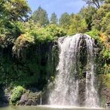 Qué hacer en Agua Morada, Acaxochitlán Hidalgo Qué hacer en Agua Morada, Acaxochitlán Hidalgo