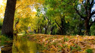 Con mucha calma y naturaleza, este lugar ubicado en Mendoza es una verdadera joya que debe ser explorada por el turismo.