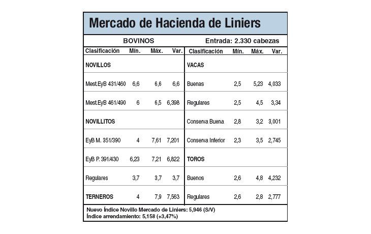Escaso ingreso de animales a Liniers