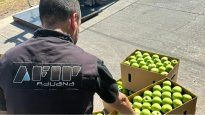 La Aduana desbarató una operación de evasión de impuestos.