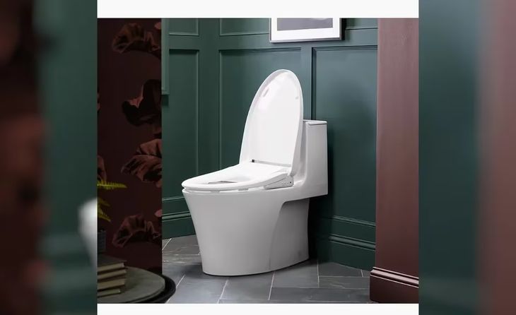 With an approximate value of 2400 dollars, this toilet promises to generate a warm climate when going to the bathroom. With an approximate value of 2400 dollars, this toilet promises to generate a warm climate when going to the bathroom.