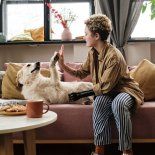 Además de los beneficios para la salud emocional, adoptar a un perro adulto genera un impacto positivo en la comunidad. Además de los beneficios para la salud emocional, adoptar a un perro adulto genera un impacto positivo en la comunidad.