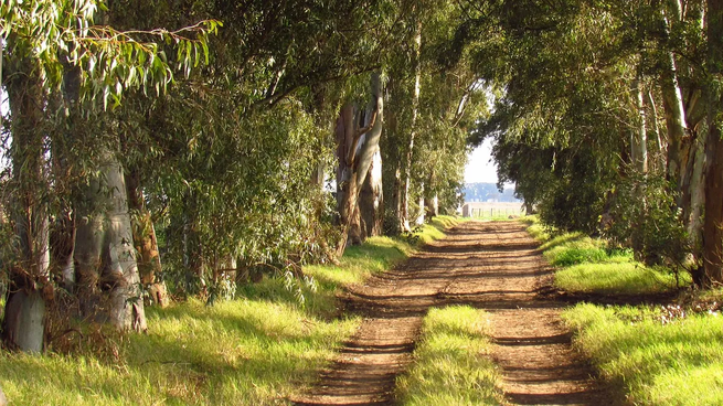 El turismo en Carlos Casares aprovecha tanto su ambiente natural como su legado histórico.