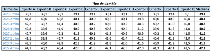 El dólar seguiría sin alejarse demasiado de sus niveles actuales, según las expectativas del Comité de Expertos. El dólar seguiría sin alejarse demasiado de sus niveles actuales, según las expectativas del Comité de Expertos.