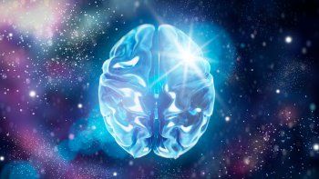 Cerebro.