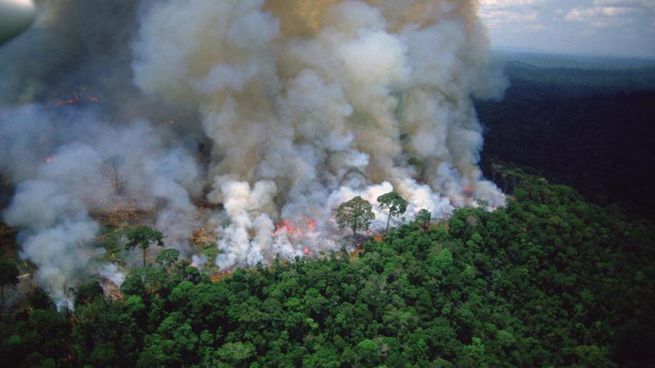 La Amazonia, una región ya en peligro por la actividad de deforestación en Brasil.