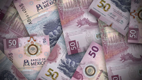 El billete con la imagen del ajolote es una de los más solicitados por los coleccionistas.