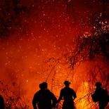Tolima es el departamento más afectado por los incendios forestales, con más de 30.000 hectáreas consumidas y ocho focos activos.