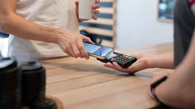 El proyecto de ley ya había sido aprobado en Diputados.