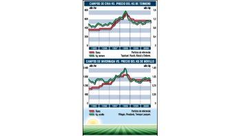 PRECIOS DE CAMPOS NO SE RECUPERARÁN EN 2001