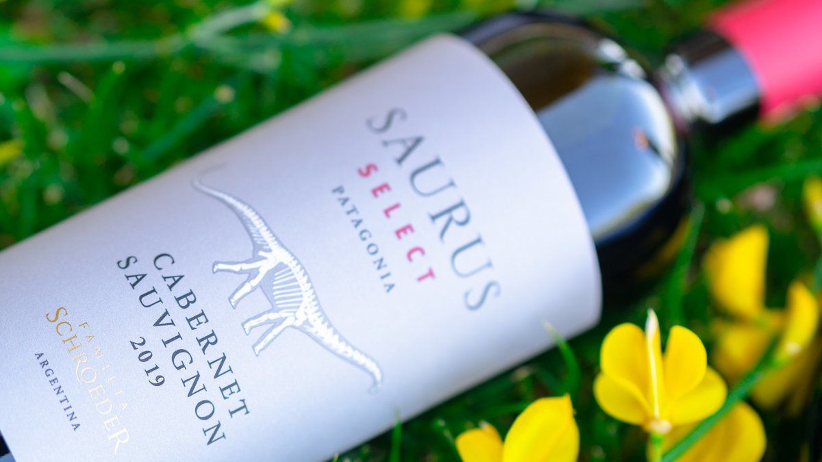 Cabernet Week: Options Under ,000