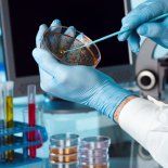 El segmento de biotecnología fue el que más inversiones del capital de riesgo atrajo el año pasado. El segmento de biotecnología fue el que más inversiones del capital de riesgo atrajo el año pasado.