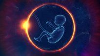 eeuu: cientificos crearon los primeros modelos de embriones sinteticos humanos