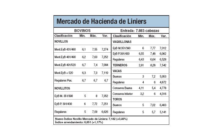 Liniers se mantiene con precios récords