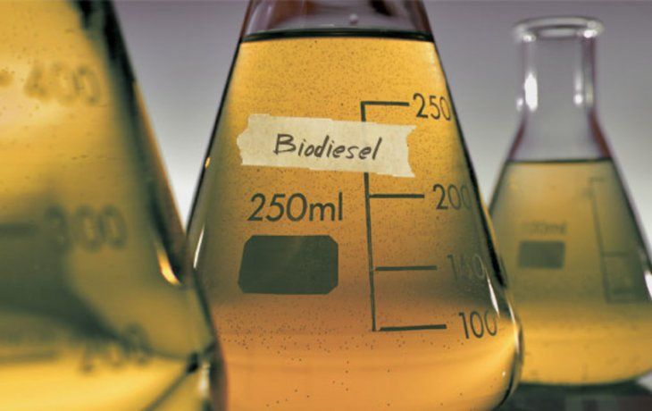 ámbito.com | biodiesel.jpg
